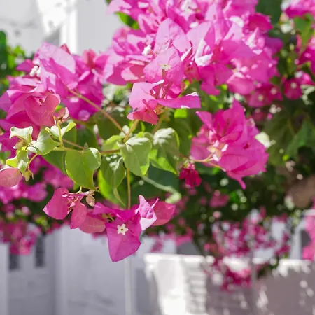 White Haven Cave Villa