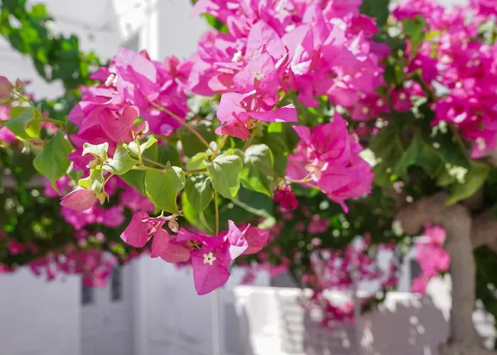 White Haven Cave Villa