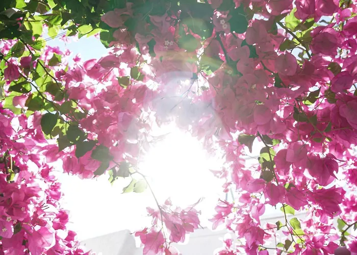 White Haven Cave Villa Mesariá