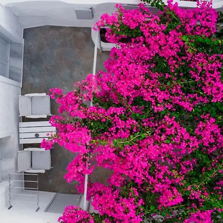 White Haven Cave Nyaraló *