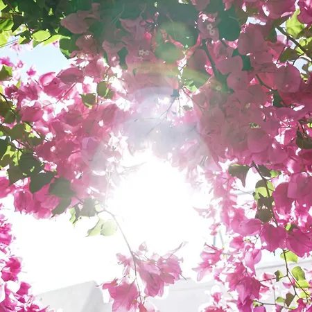 White Haven Cave Meszariá